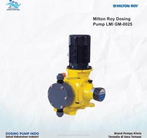 Dosing Pump Milton Roy GM 0025 Muara Ening - Pompa Terbaik Indonesia